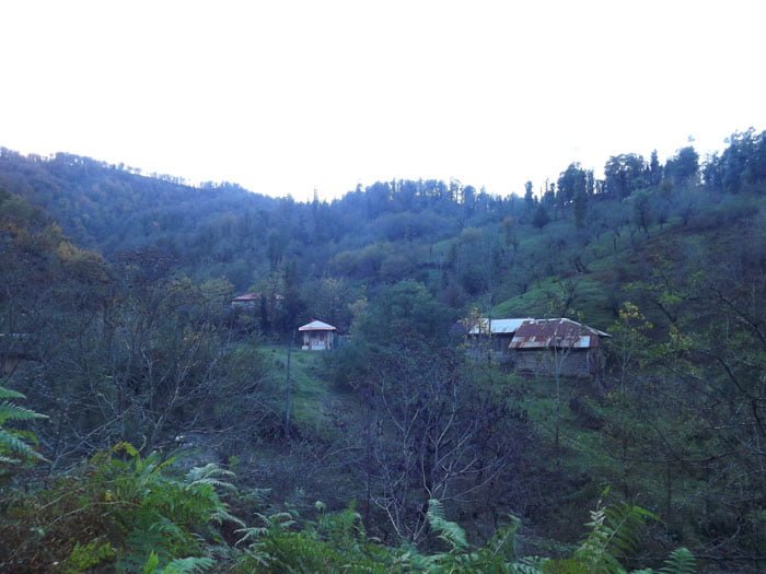 روستای چنارودخان