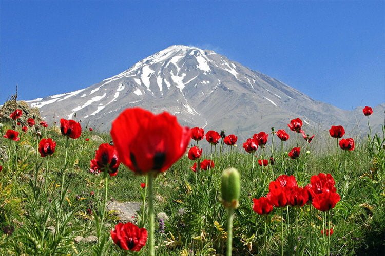 مناطق پرگل ایران  مناطق پرگل ایران