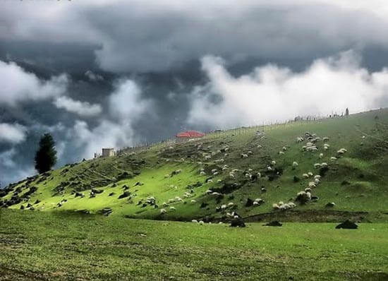 روستای چرات 