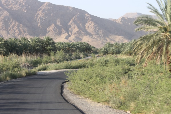 چشمه سبزپوشان چشمه سبزپوشان چشمه سبزپوشان