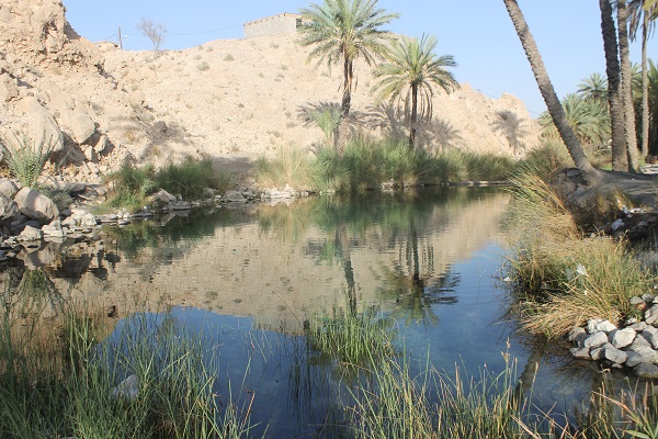 چشمه سبزپوشان چشمه سبزپوشان چشمه سبزپوشان