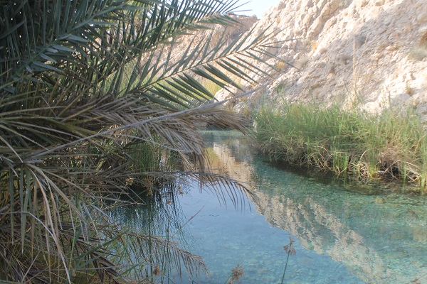 چشمه سبزپوشان چشمه سبزپوشان چشمه سبزپوشان