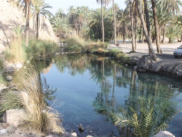 چشمه سبزپوشان چشمه سبزپوشان چشمه سبزپوشان