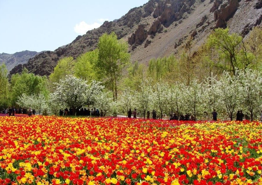 مناطق پرگل ایران مناطق پرگل ایران