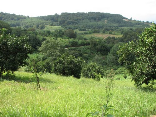 روستای واسکس و دیدنی های آن معرفی روستای واسکس و دیدنی های آن روستای واسکس و دیدنی های آن