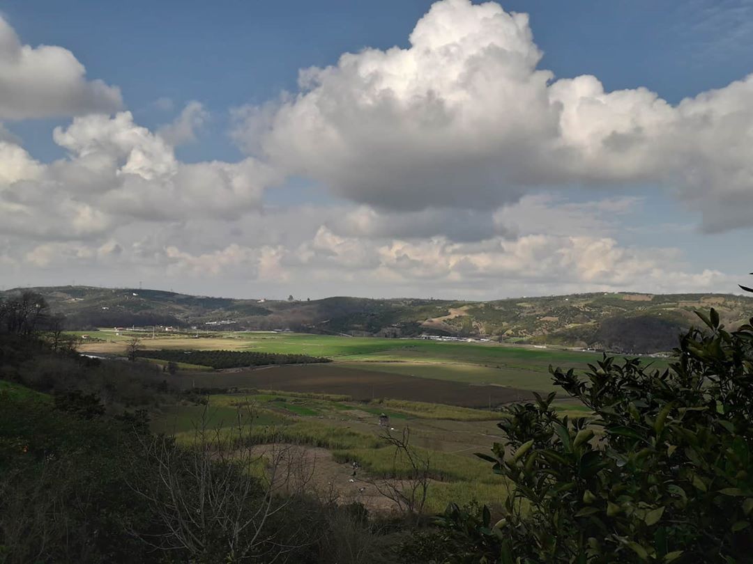 روستای ریکنده و کشت نیشکر روستای ریکنده روستای ریکنده و کشت نیشکر