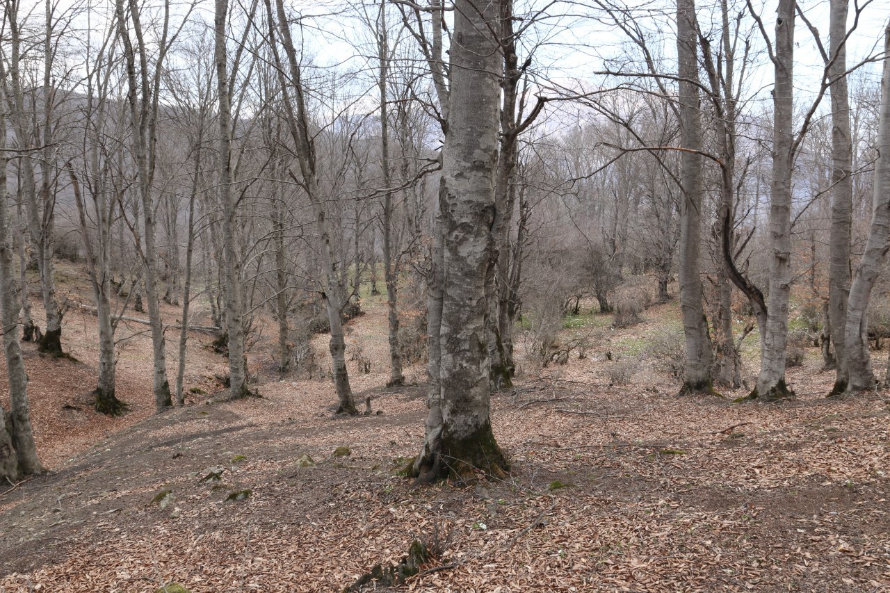  روستای کمر پشت