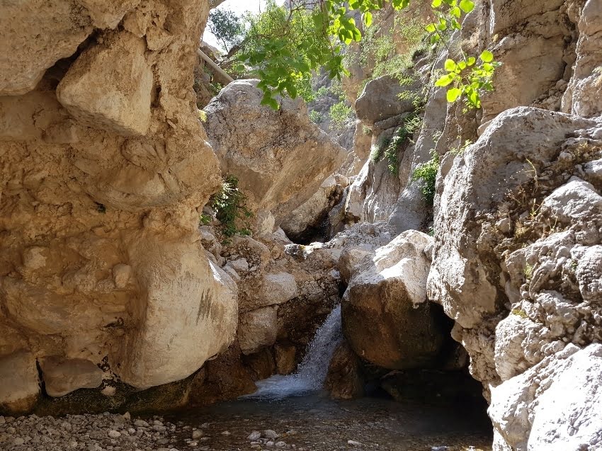 تنگ کرد؛ گوهر آبی خوزستان تنگ کرد؛ گوهر آبی خوزستان