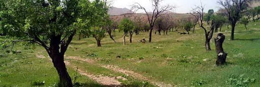 روستای تاریخی و گردشگری سامان روستای تاریخی و گردشگری سامان روستای تاریخی و گردشگری سامان