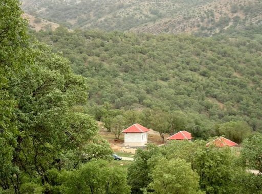 پارک بزرگ کوهستان یاسوج؛وسیع ترین پارک جنگلی جنوب کشور پارک بزرگ کوهستان یاسوج ، وسیع ترین پارک جنگلی جنوب کشور