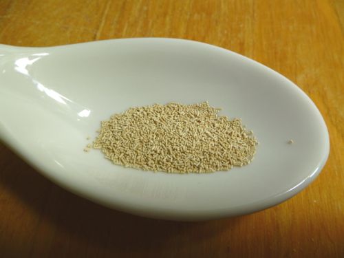 طرز تهیه خمیر پیتزا خانگی طرز تهیه خمیر پیتزا خانگی طرز تهیه خمیر پیتزا خانگی