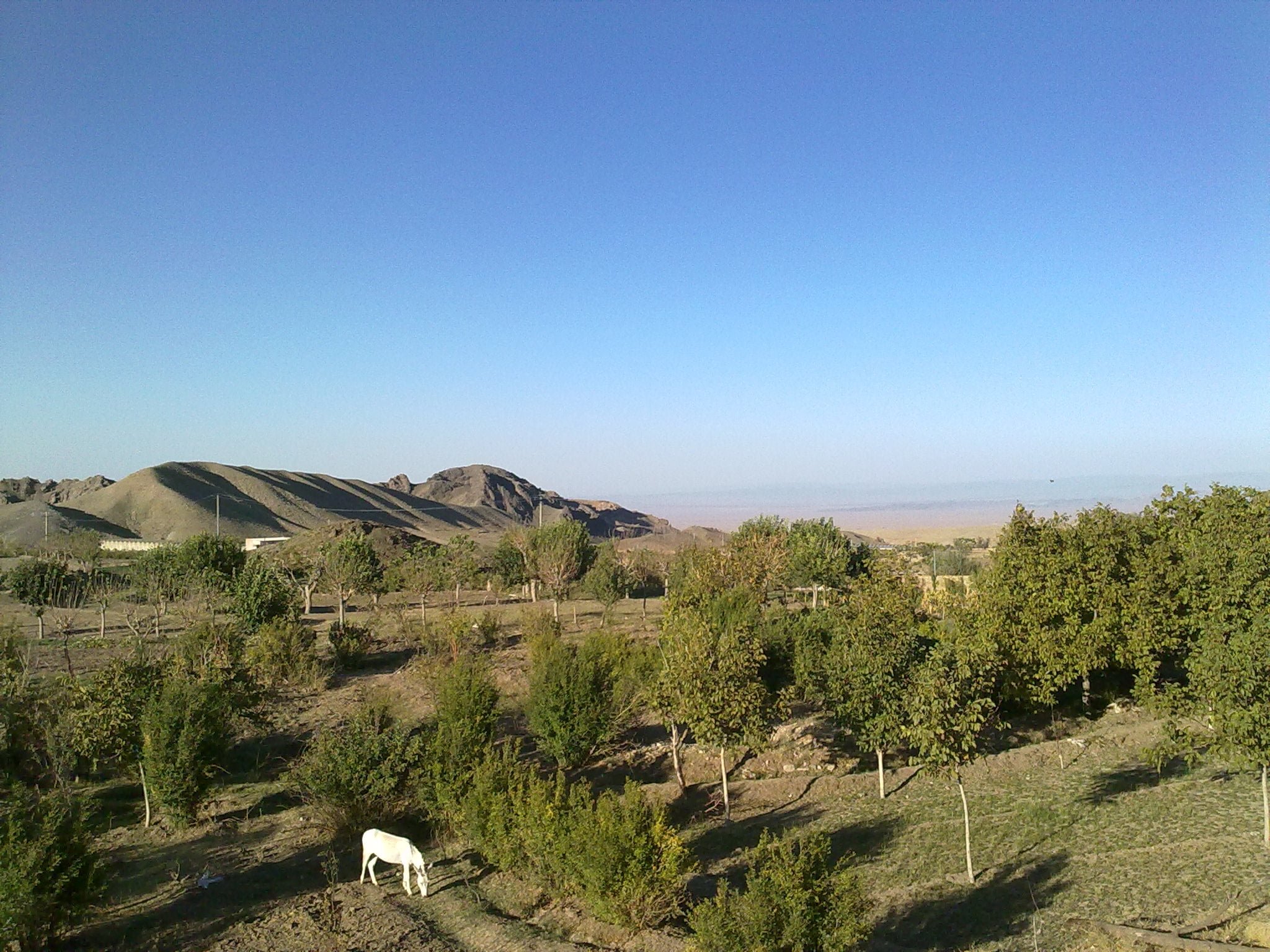 روستای بسک،بهترین روستا در ششتمد سبزوار روستای بسک ، بهترین روستا در ششتمد سبزوار