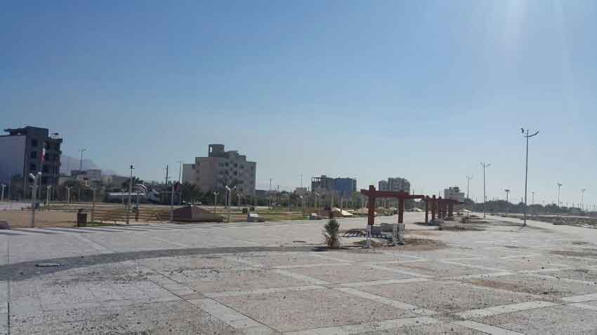 نخل تقی