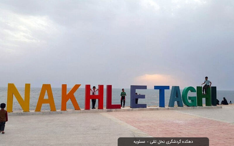 نخل تقی