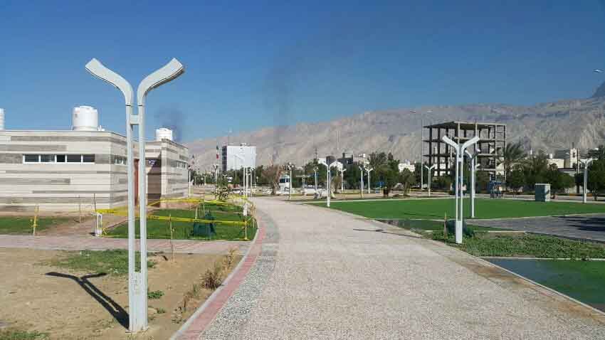 نخل تقی