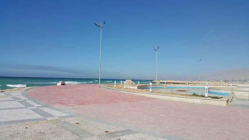 نخل تقی