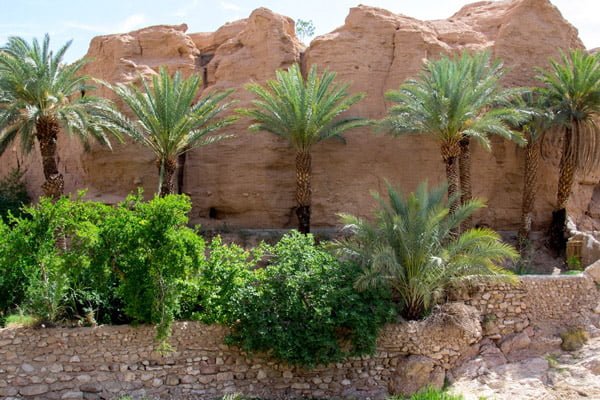 ازمیغان؛روستای چهار فصل دیدنی روستای ازمیغان ، روستای چهار فصل دیدنی