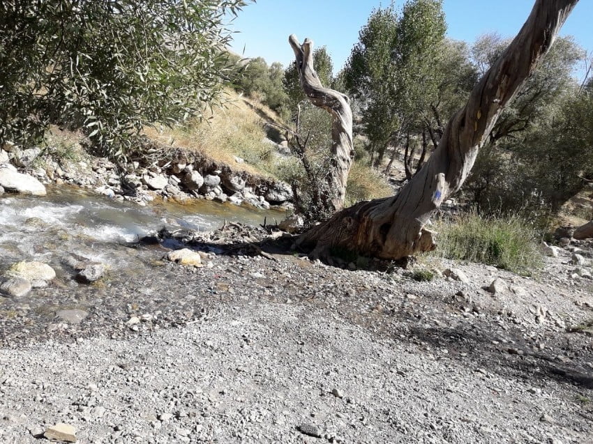  دره تخت؛روستایی پر از جاذبه های طبیعی  دره تخت ، روستایی پر از جاذبه های طبیعی