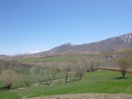 روستای اسدآباد شهرکرد روستای اسد آباد روستای اسدآباد شهرکرد