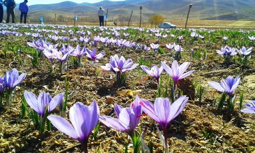 روستای ارجنک شهرکرد روستای ارجنک شهرکرد