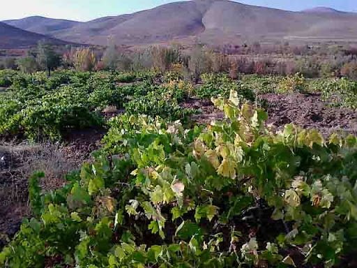روستای ارجنک شهرکرد روستای ارجنک شهرکرد