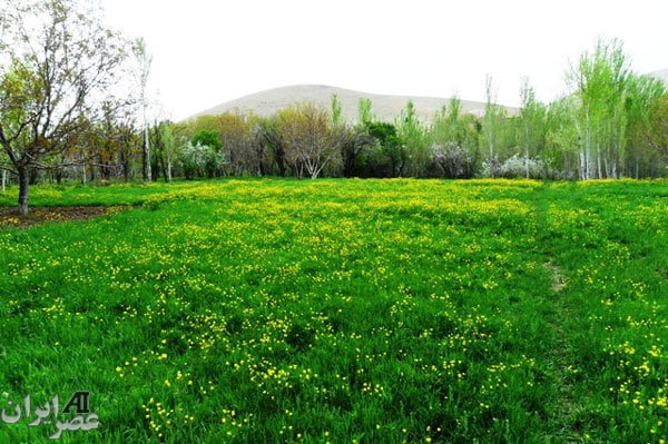 روستای ارجنک شهرکرد روستای ارجنک شهرکرد