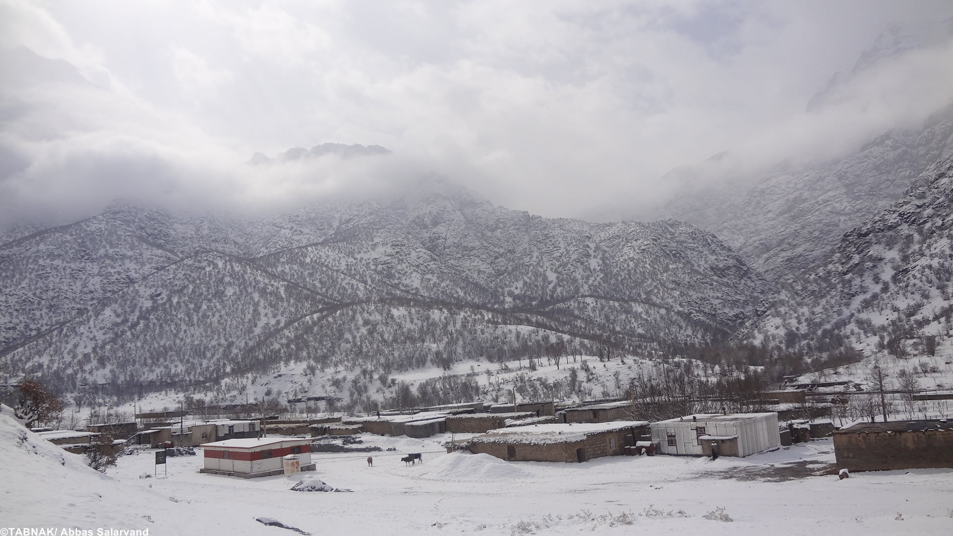 روستای تپه تی روستای تپه تی روستای تپه تی