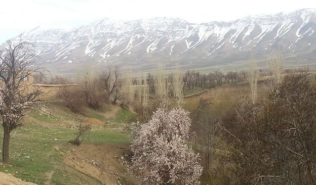روستای خان آباد خمین روستای خان آباد خمین روستای خان آباد خمین