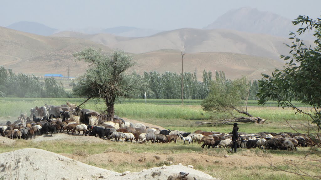 روستای سیرک شهرکرد روستای سیرک شهرکرد روستای سیرک شهرکرد