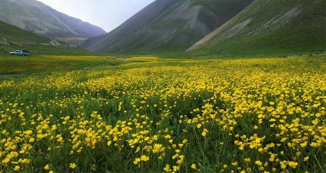 روستای طارس فیروزکوه روستای طارس روستای طارس فیروزکوه
