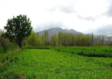 روستای ورچه خمین روستای ورچه خمین