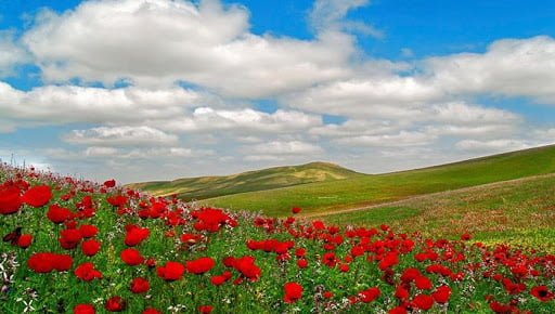 روستای چهچهه کلات ، بزرگترین قطب تولید پسته روستا چهچهه کلات،بزرگترین قطب تولید پسته روستای چهچهه کلات ، بزرگترین قطب تولید پسته