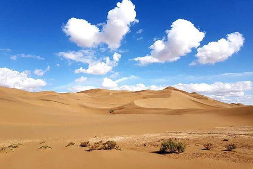 پارک طبیعت گردی نی باد کویر زرین پارک طبیعت گردی نی باد کویر زرین پارک طبیعت گردی نی باد کویر زرین