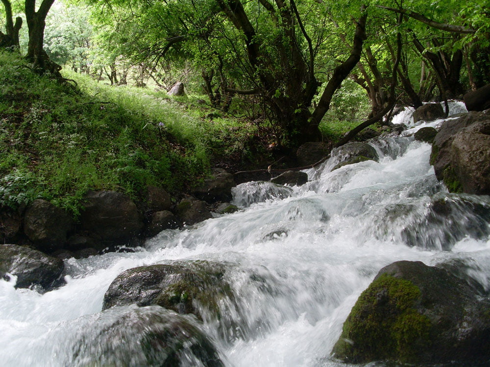 روستای تپه تی