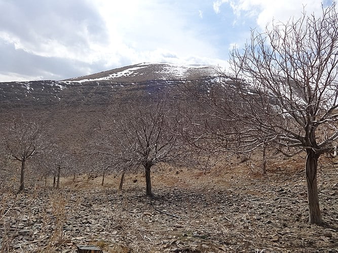 روستای چنار