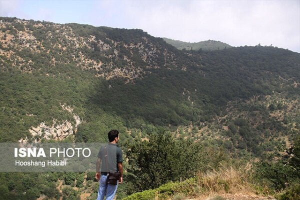 گردشگر؛ آفت جدید جنگل های شمال جنگل گردشگر؛ آفت جدید جنگل های شمال