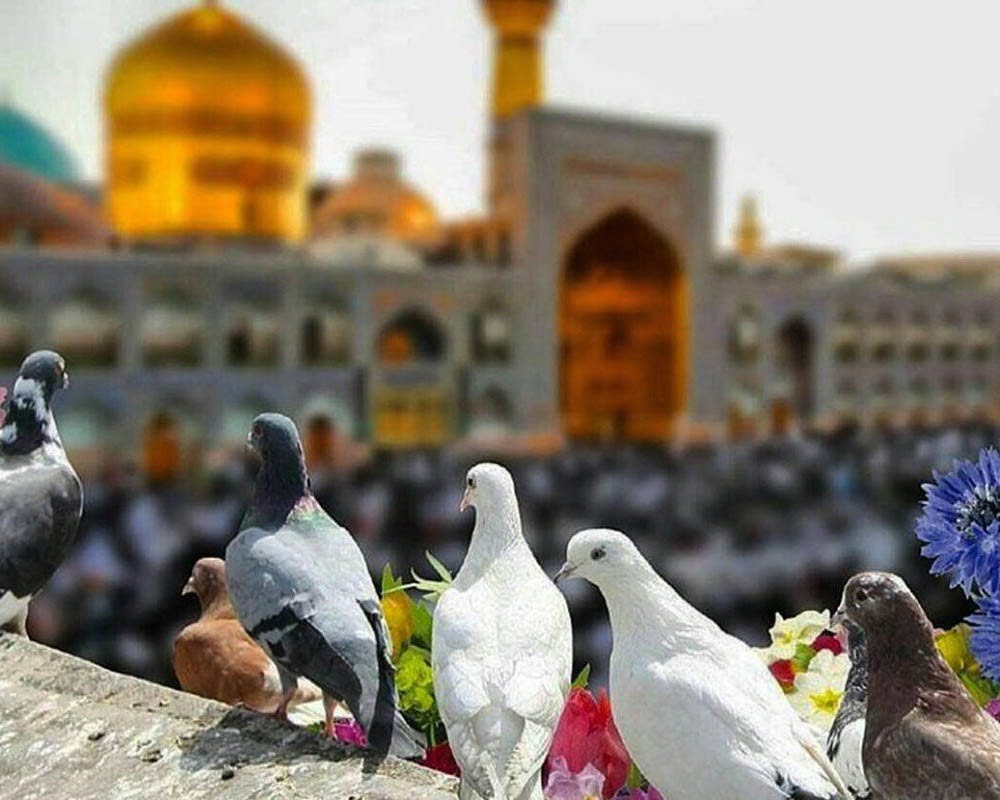 تب مسافرت تابستانی پساکرونا - تور مشهد دیدنی های مشهد تب مسافرت تابستانی پساکرونا - تور مشهد