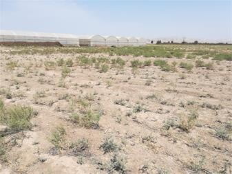 روستای دهماسین