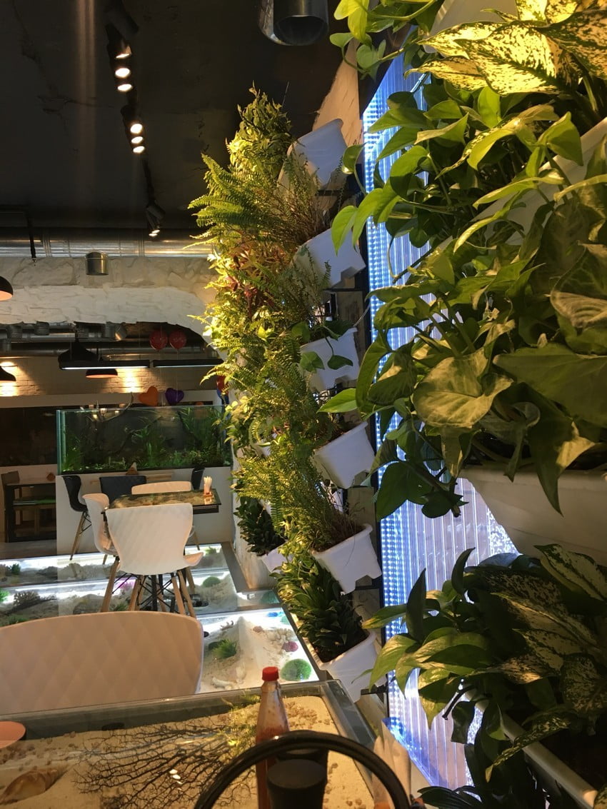 آکوا، کافه ای کف اقیانوس