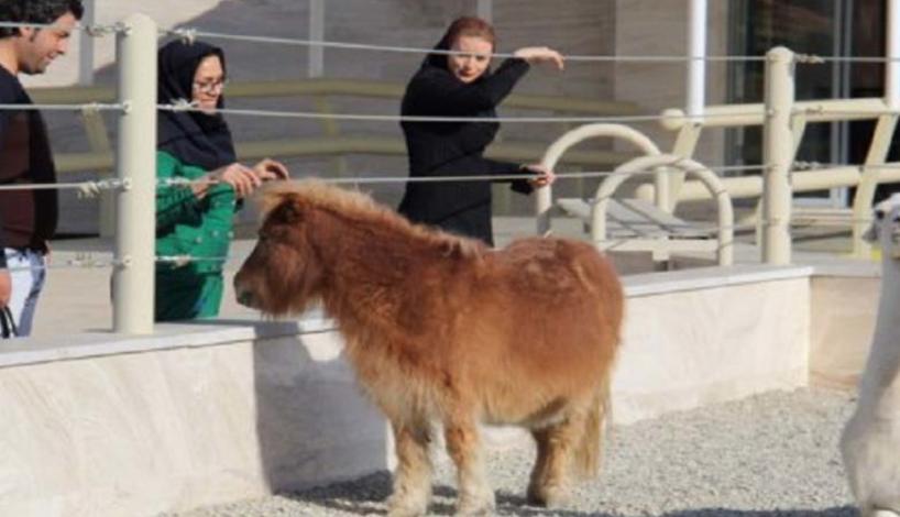 باغ وحش صفادشت