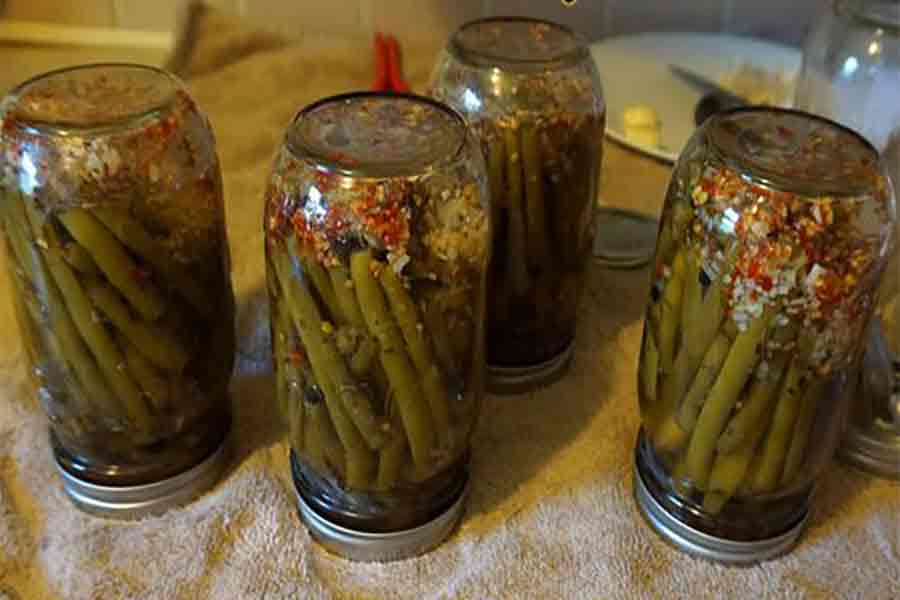  ترشی لوبیا سبز طرز تهیه ترشی لوبیا سبز