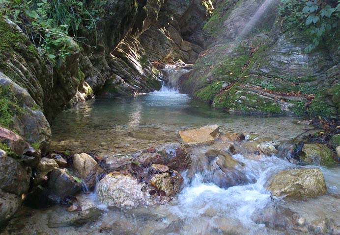 روستای سرجی کلا