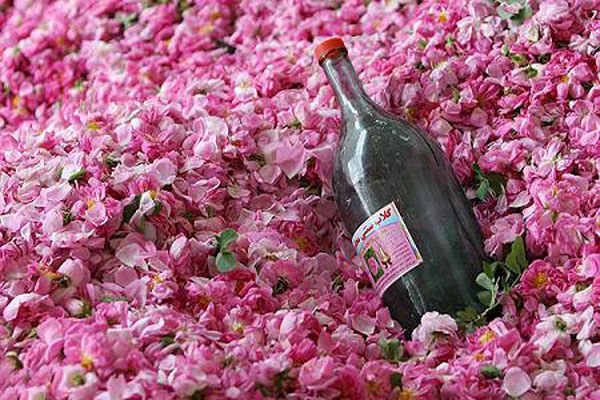 عرقیات گیاهی ایران 