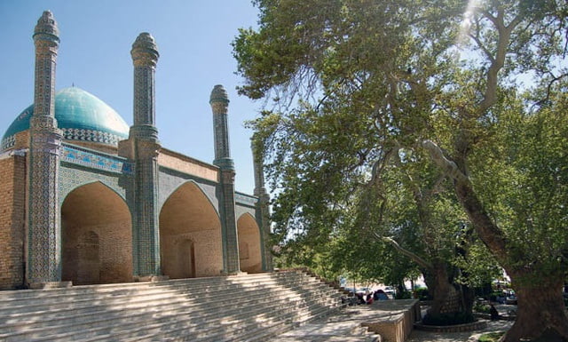 درختان چنارکهنسال بش قارداش
