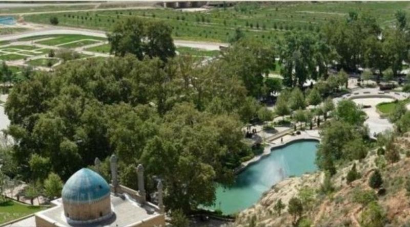 درختان چنارکهنسال بش قارداش