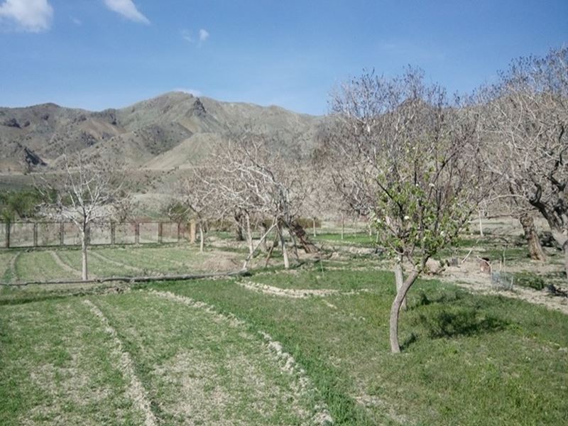 روستای استانست بیرجند