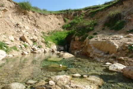 چشمه آبگرم مهمانک