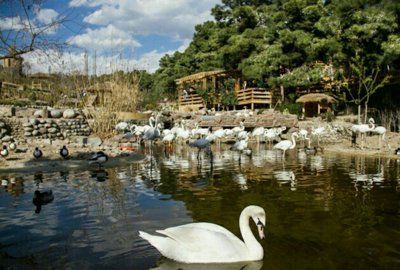 باغ پرندگان