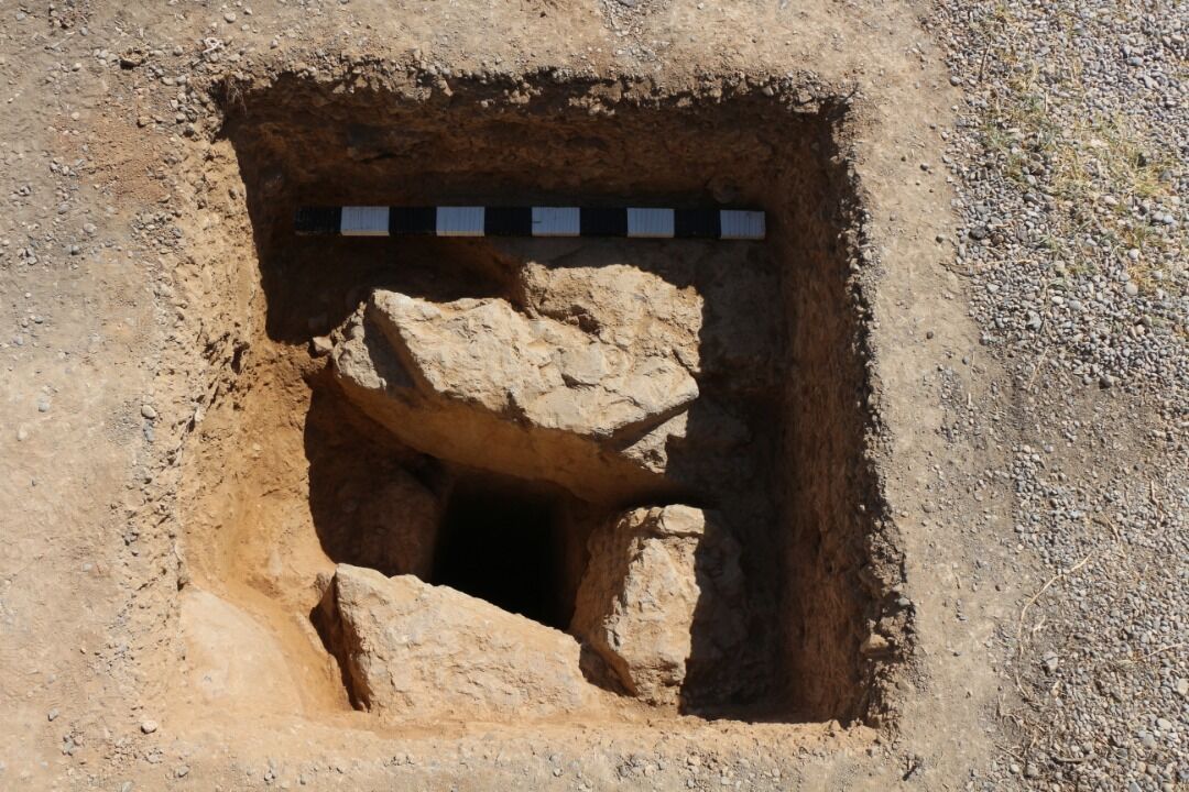 تخت جمشید