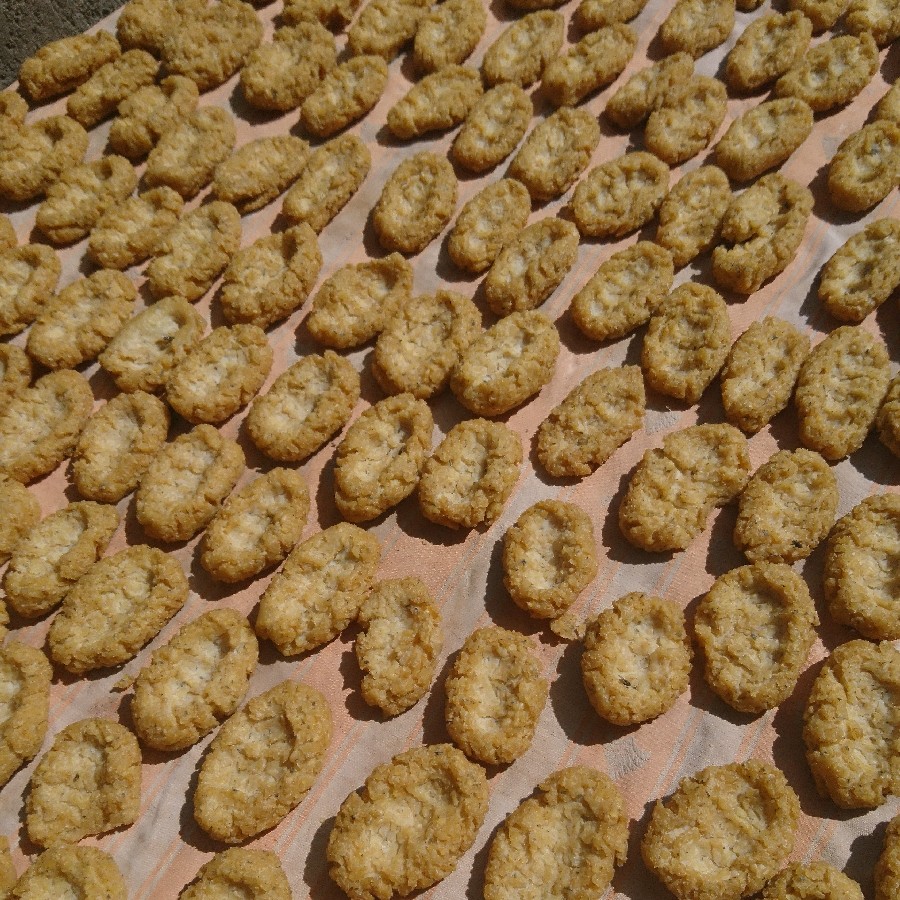 ترخینه خشک خانگی